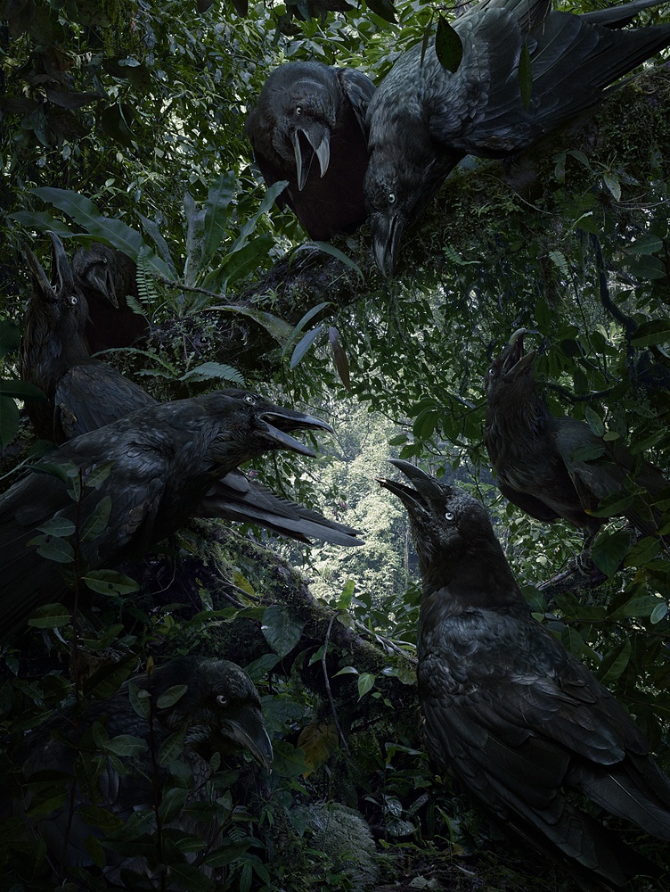 zwierzęta czekają na koniec bajki. Simen Johan, praca 5.