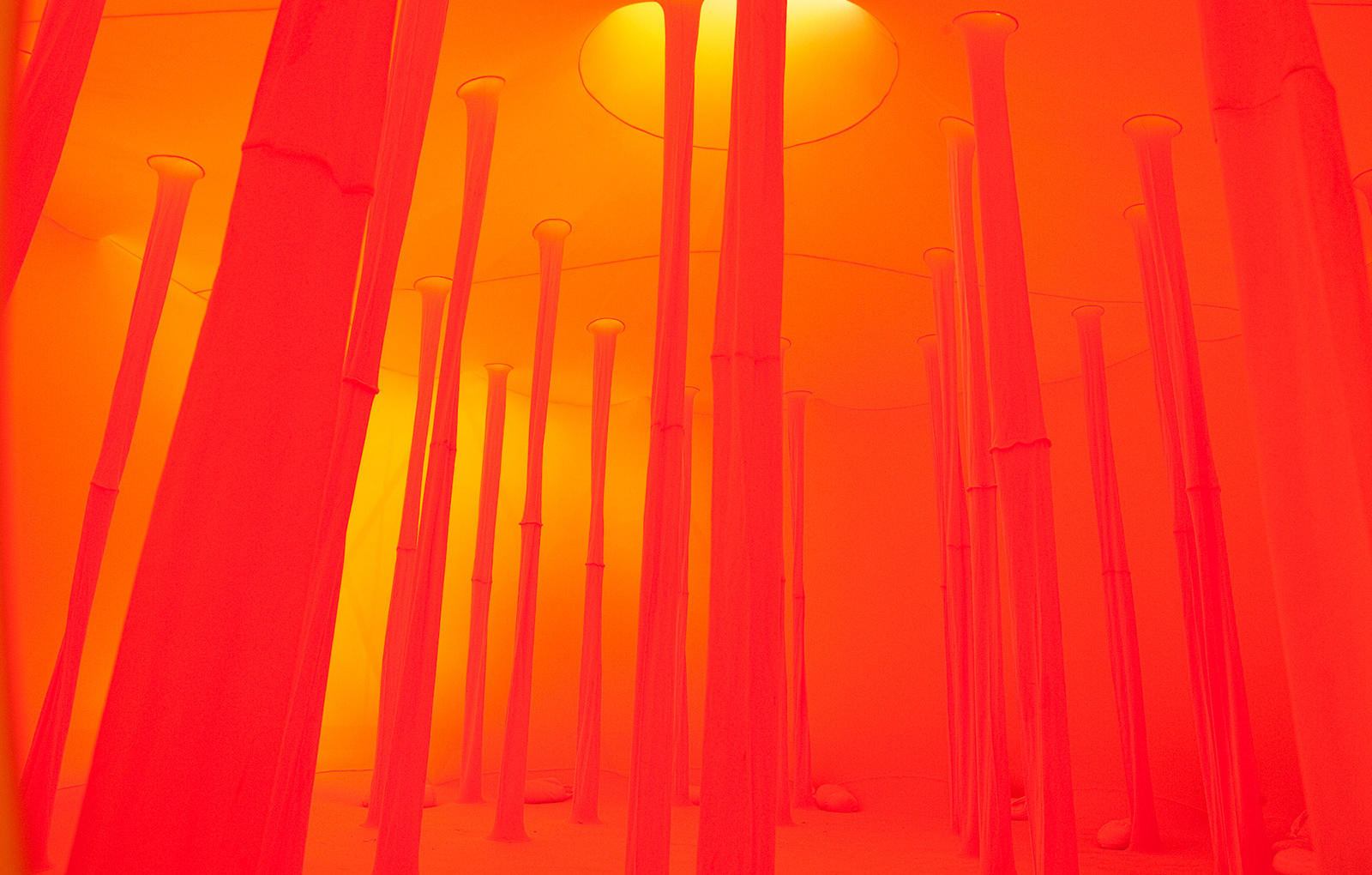 wejdź, to trochę jak ciało. Ernesto Neto, praca 8.