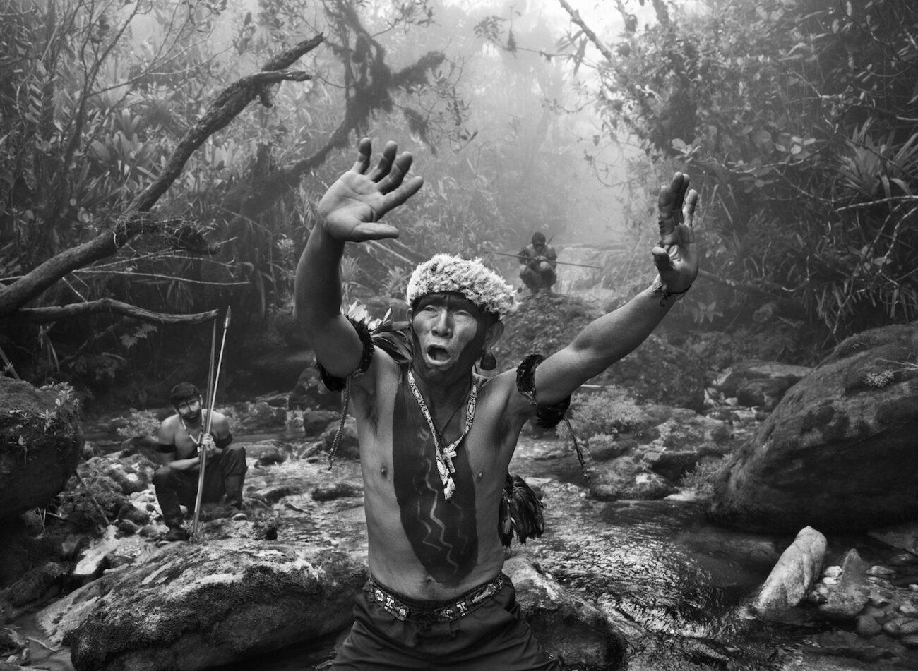 rzeka wciąż pamięta las. Sebastião Salgado, praca 2.