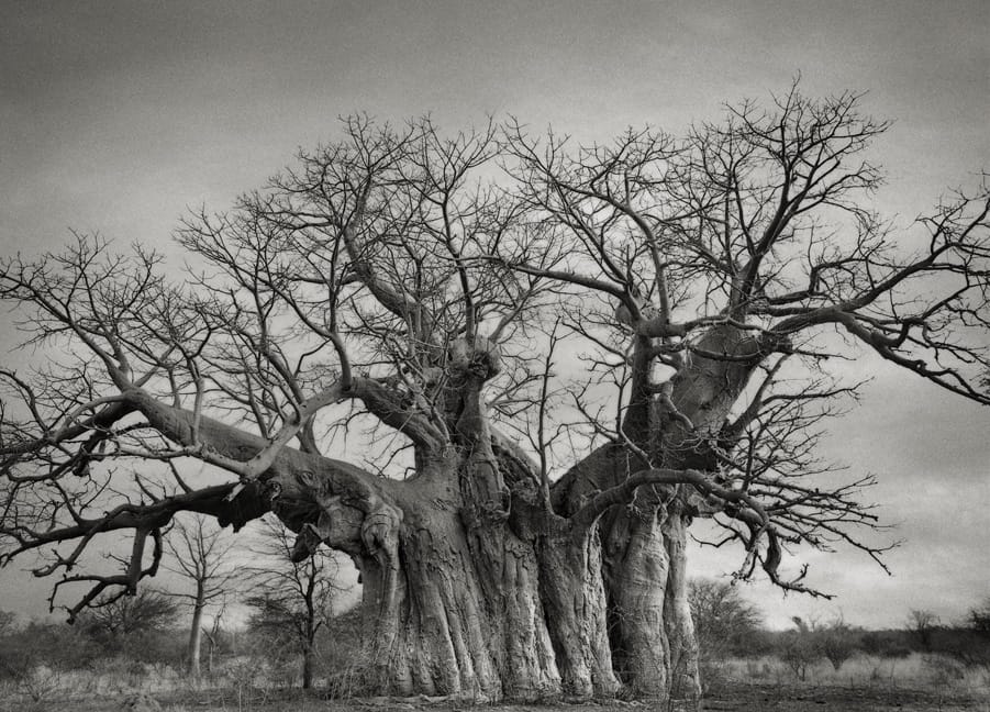 tyle lat w jednym miejscu. Beth Moon, praca 3.