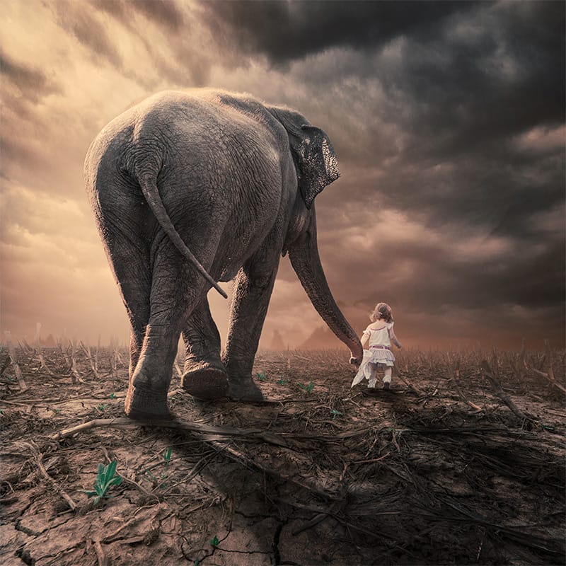fotografia skręciła w stronę snu. Caras Ionut, praca 8.