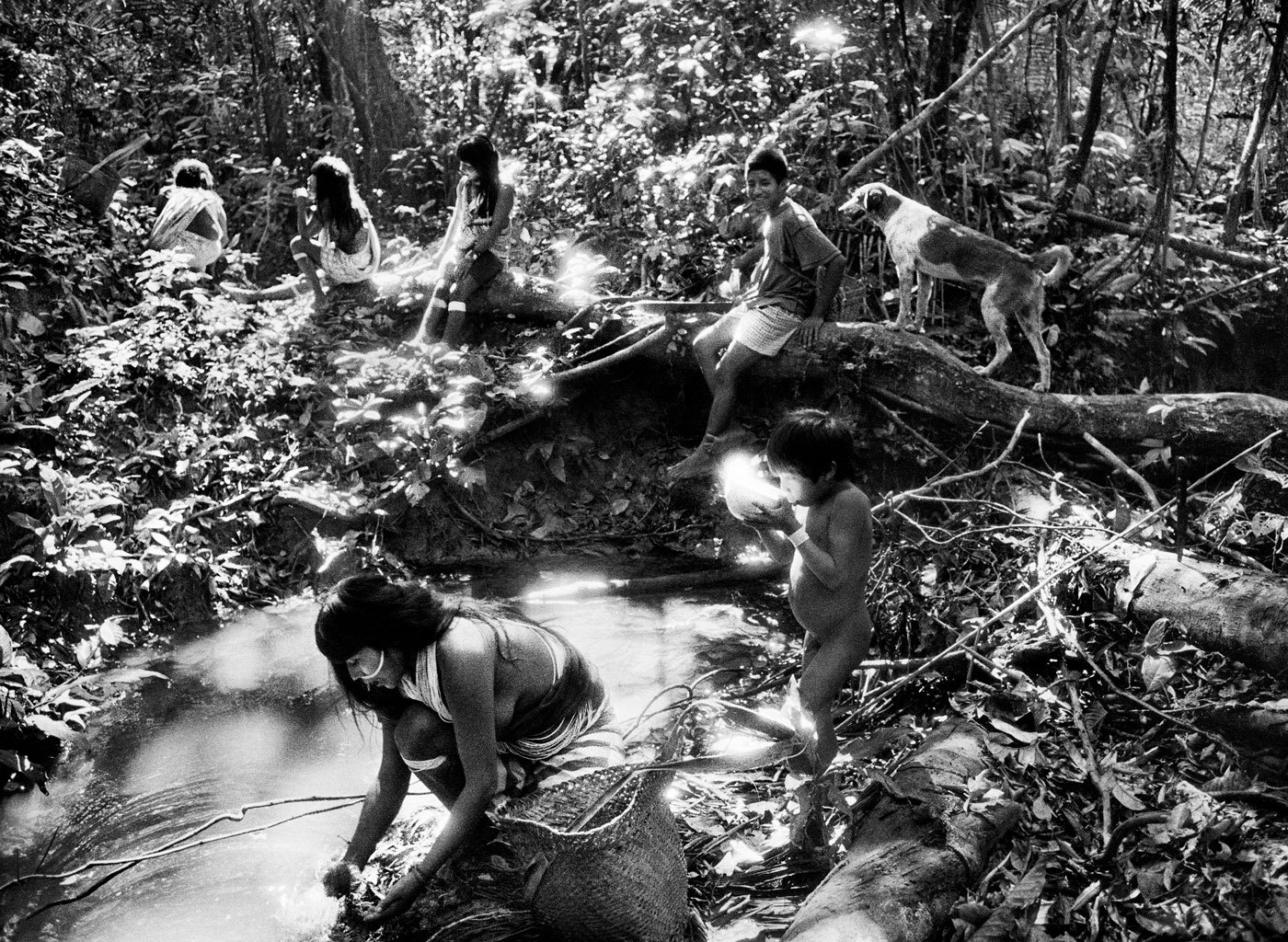 rzeka wciąż pamięta las. Sebastião Salgado, praca 3.