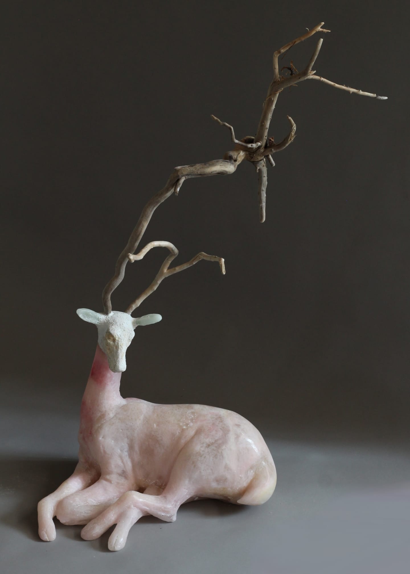 ktoś śpi w środku szkła. Christina Bothwell, praca 3.