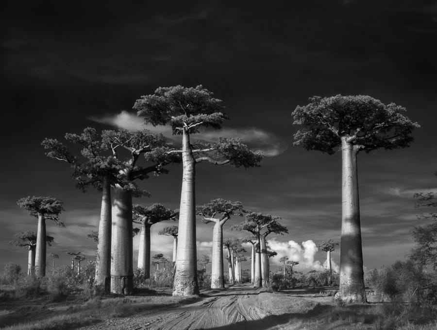 tyle lat w jednym miejscu. Beth Moon, praca 1.